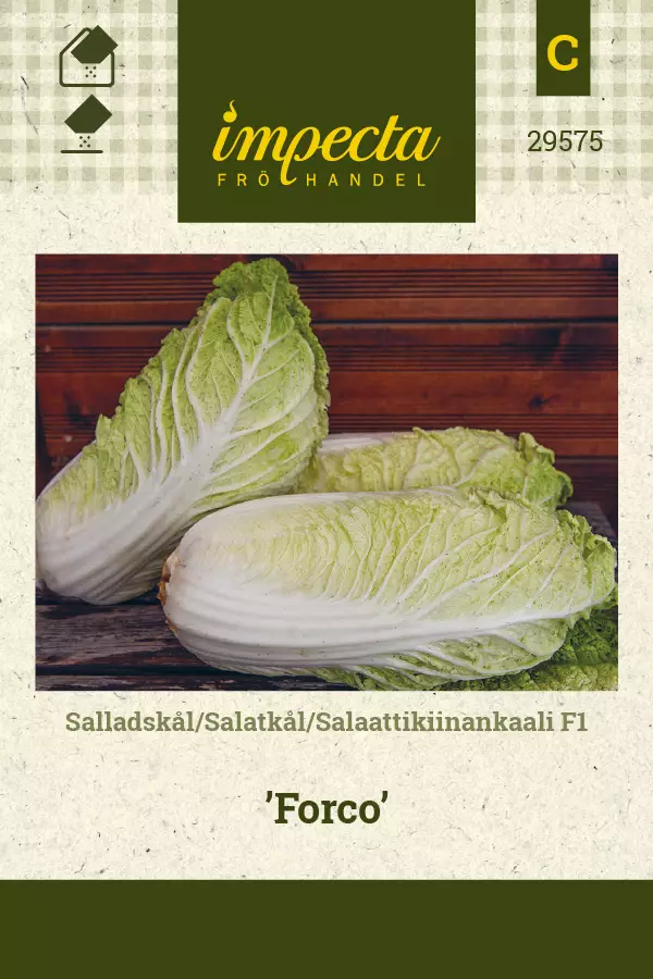 Salaattikiinankaali F1 Forco - Vihannesten ja yrttien siemenet - 7332756295755 - 0