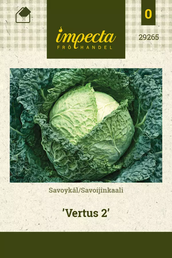 Savoijinkaali Vertus 2 - Vihannesten ja yrttien siemenet - 7332756292655 - 0