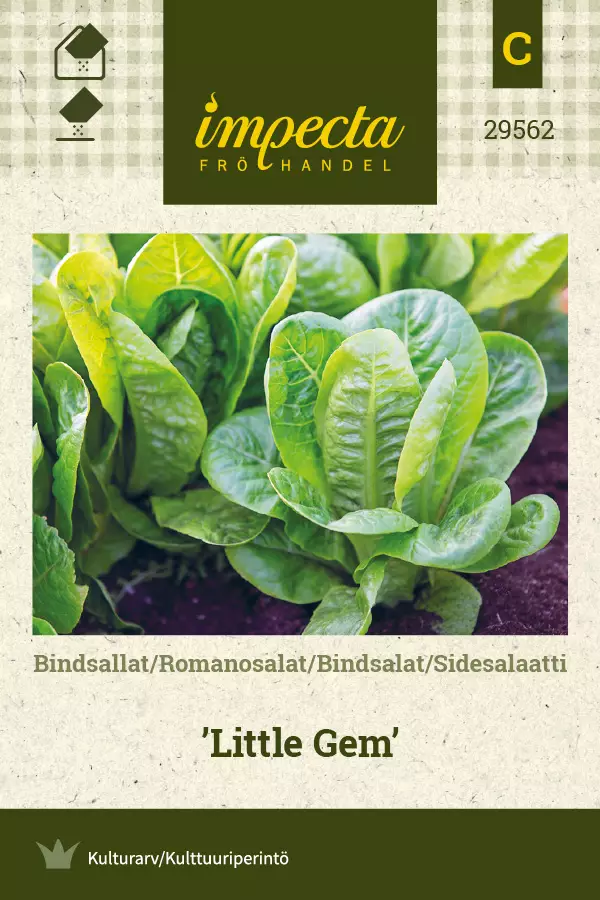 Sidesalaatti Little Gem - Vihannesten ja yrttien siemenet - 7332756295625 - 0