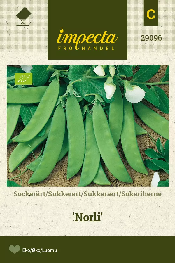 Sokeriherne Norli - Vihannesten ja yrttien siemenet - 7332756290965 - 0