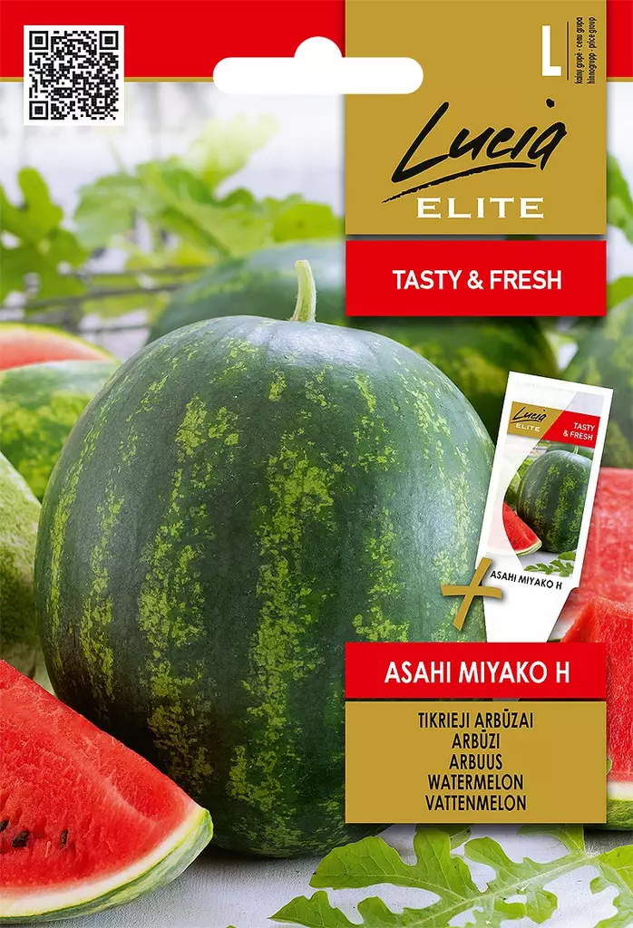 VESIMELONI ELITE ASAHI MIYAKO H - Vihannesten ja yrttien siemenet - 4770168920415 - 0