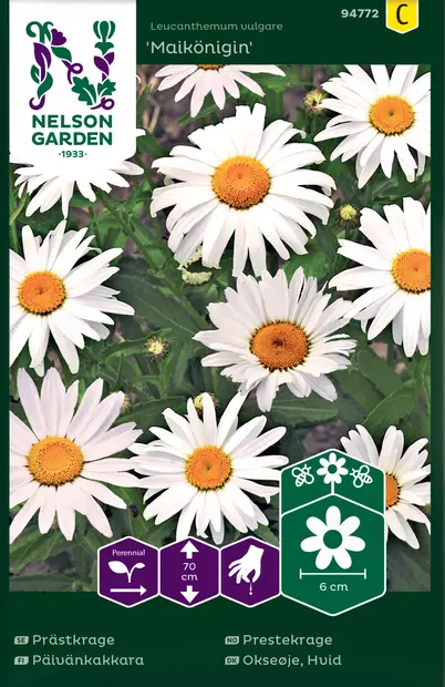 Päivänkakkara, Maikönigin - Kukkien ja koristeheinien siemenet - 7312600947726 - 0