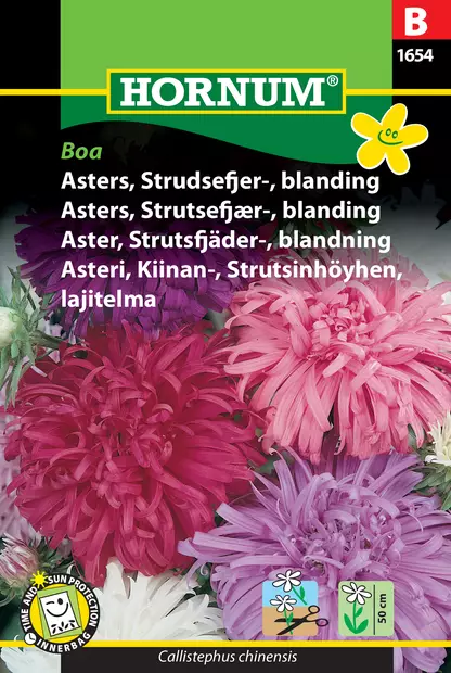 Asteri, Kiinan-, Strutsinhöyhen, lajitel - Kukkien ja koristeheinien siemenet - 5708787016546 - 0