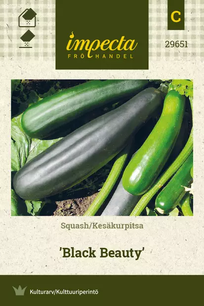 Kesäkurpitsa Black Beauty - Vihannesten ja yrttien siemenet - 7332756296516 - 0