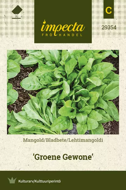 Lehtimangoldi Groene Gewone - Vihannesten ja yrttien siemenet - 7332756293546 - 0