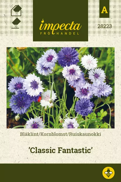Ruiskaunokki Classic Fantastic - Kukkien ja koristeheinien siemenet - 7332756282236 - 1