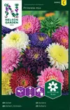 Asteri, Kiinan-, Princess, väriseos - Kukkien ja koristeheinien siemenet - 7312600931626 - 0