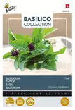 Buzzy Basilico thaibasilika - Kukkien ja koristeheinien siemenet - 8711117809166 - 1