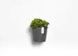 Ecopots Ruukku Amsterdam Wall 20 cm - Ecopots ruukut ja lautaset - 5413724303626 - 4