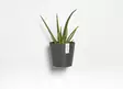 Ecopots Ruukku Amsterdam Wall 20 cm - Ecopots ruukut ja lautaset - 5413724303626 - 2