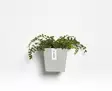 Ecopots Ruukku Manhattan Wall 15 cm - Ecopots ruukut ja lautaset - 5413724313786 - 2