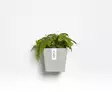Ecopots Ruukku Manhattan Wall 15 cm - Ecopots ruukut ja lautaset - 5413724313786 - 3