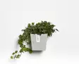 Ecopots Ruukku Manhattan Wall 15 cm - Ecopots ruukut ja lautaset - 5413724313786 - 6