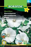 Malvikki, Kesä- Mont Blanc - Kukkien ja koristeheinien siemenet - 5708787017116 - 0