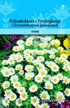 Peikonkakkara - Kukkien ja koristeheinien siemenet - 6415151816006 - 1