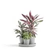 Ecopots Ruukku Dubai setti 56,6 cm - Ecopots ruukut ja lautaset - 5413724329626 - 2