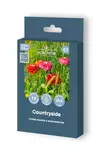 Flower Meadow Flowery Countryside 10 m² - Kukkien ja koristeheinien siemenet - 4770168922846 - 1
