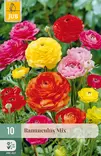 Jaloleinikki mix 10 kpl/pkt - Muut kukkasipulit - 8712438521706 - 1