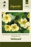 Köynnöskrassi Milkmaid - Kukkien ja koristeheinien siemenet - 7332756280256 - 1