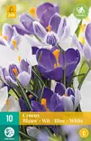 Krookus Blue-White mix 10 kpl/pkt - Sahramit eli krookukset - 8712438515026 - 2
