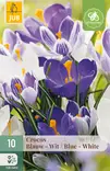 Krookus Blue-White mix 10 kpl/pkt - Sahramit eli krookukset - 8712438515026 - 1