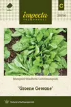 Lehtimangoldi Groene Gewone - Vihannesten ja yrttien siemenet - 7332756293546 - 0