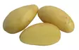 Peruna Jazzy 1 kg 30-55 mm - Siemenet ja sipulit - 6417486004066 - 1