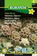 Törmäkukka, Tähti- Paper Moon - Kukkien ja koristeheinien siemenet - 5708787021496 - 1