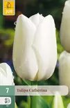 Tulppaani Catherina 7 kpl/pkt - Tulppaanit - 8720873007266 - 1