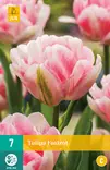 Tulppaani Foxtrot 7 kpl/pkt - Tulppaanit - 8712438502576 - 2