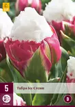 Tulppaani Ice Cream 5 kpl/pkt - Tulppaanit - 8712438526466 - 2
