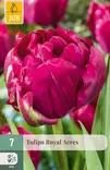 Tulppaani Royal Acres 7 kpl/pkt - Tulppaanit - 8712438989506 - 1