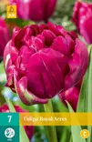Tulppaani Royal Acres 7 kpl/pkt - Tulppaanit - 8712438989506 - 2