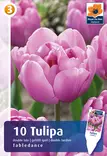 Tulppaani Tabledance 6 kpl/pkt - Tulppaanit - 8711148243946 - 1