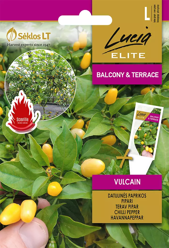 CHILI ELITE VULCAIN - Vihannesten ja yrttien siemenet - 4770168917866 - 0