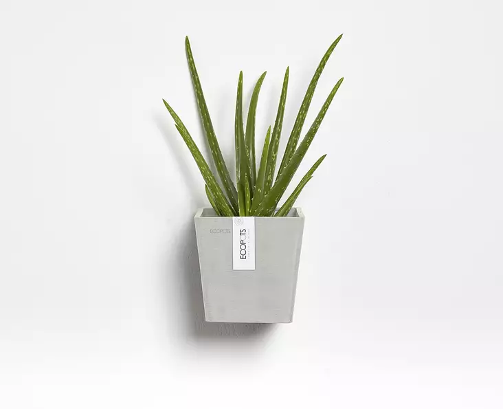 Ecopots Ruukku Manhattan Wall 15 cm - Ecopots ruukut ja lautaset - 5413724313786 - 1
