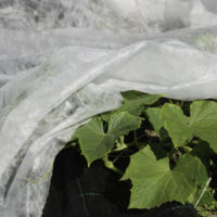 Hallaharso 100 m² (4,25 x 23,5 m) - Puutarhakankaat - 6430040621486 - 2