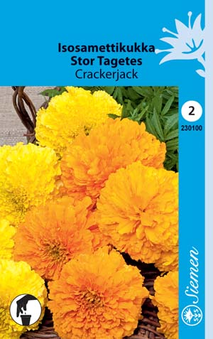 Isosamettikukka Crackerjack - Kukkien ja koristeheinien siemenet - 6415152301006 - 1