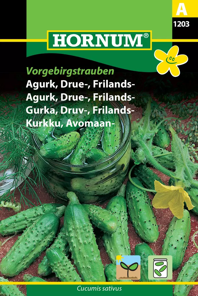 Kurkku, Avomaan- Vorgebirgstrauben - Vihannesten ja yrttien siemenet - 5708787012036 - 0