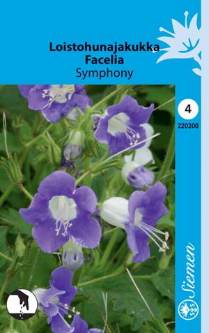 Loistohunajakukka Symphony annos - Kukkien ja koristeheinien siemenet - 6415152202006 - 1