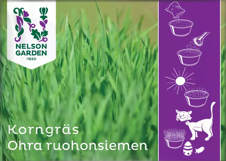 Ohra ruohonsiemen - Kukkien ja koristeheinien siemenet - 7312600052666 - 1