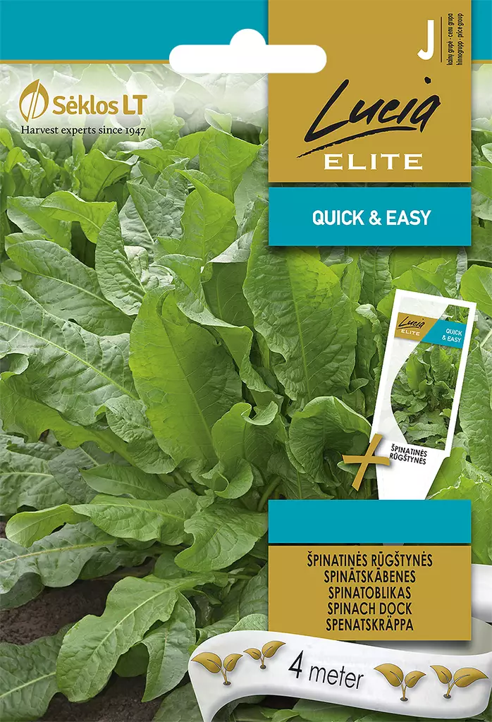 PINAATTIHIERAKKA ELITE - Vihannesten ja yrttien siemenet - 4770168913776 - 0