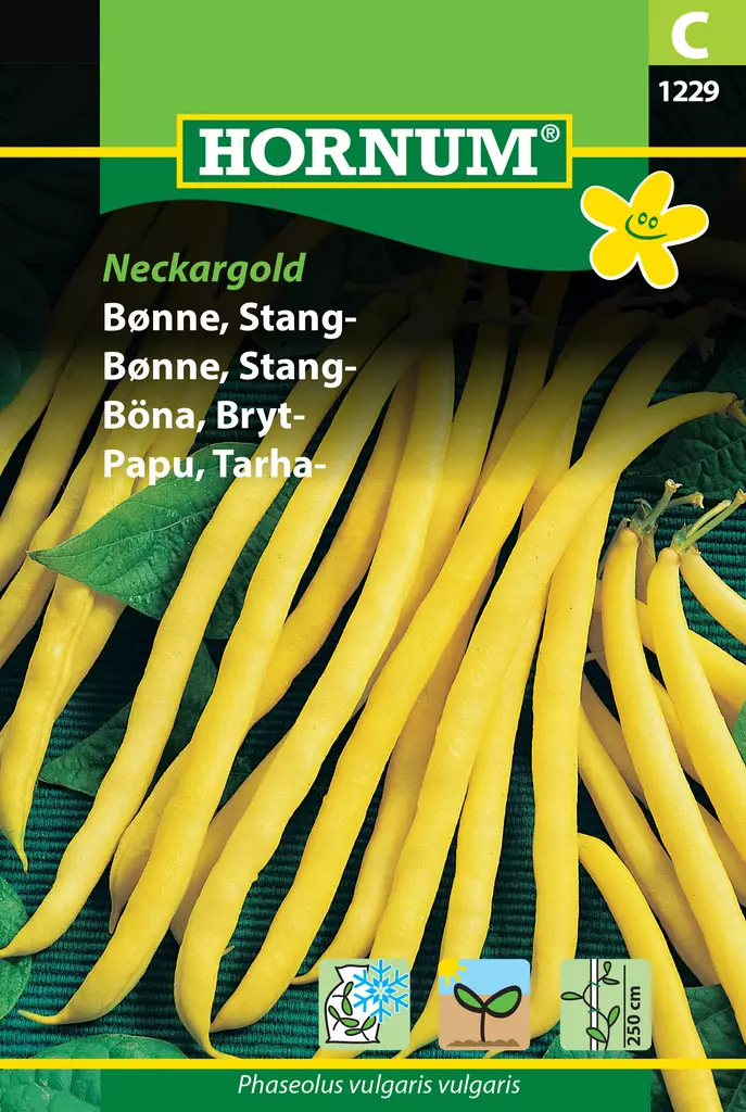 Papu, Tarha- Neckargold - Vihannesten ja yrttien siemenet - 5708787012296 - 0