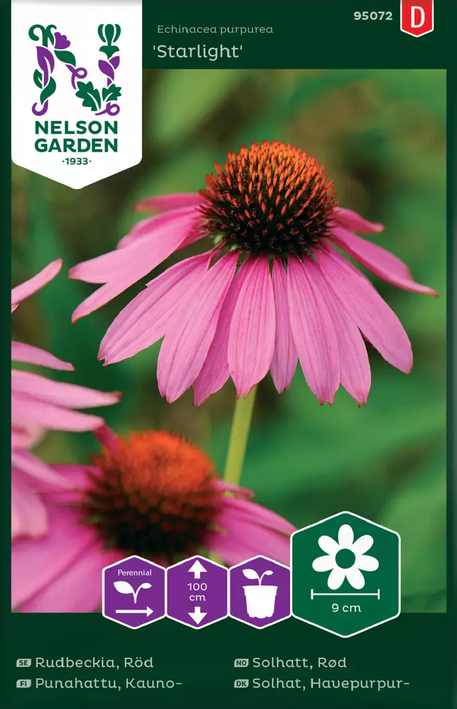 Punahattu, Kauno-, Starlight - Kukkien ja koristeheinien siemenet - 7312600950726 - 0