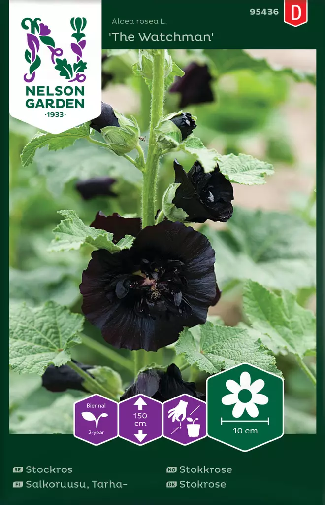 Salkoruusu, Tarha-, The Watchman - Kukkien ja koristeheinien siemenet - 7312600954366 - 0