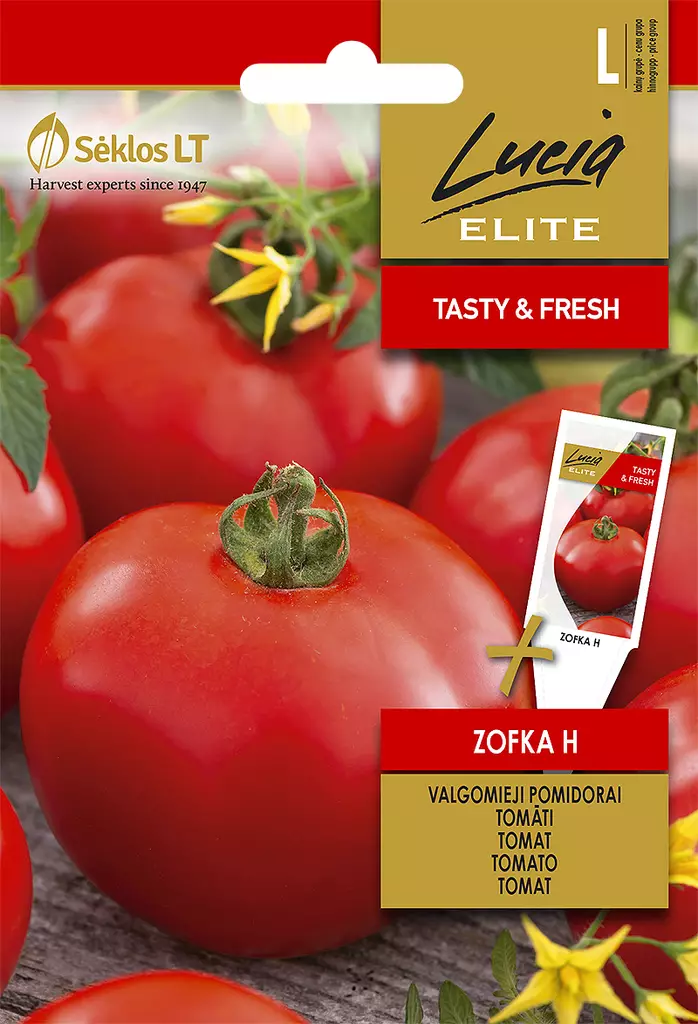 TOMAATTI ELITE ZOFKA H - Vihannesten ja yrttien siemenet - 4770168913806 - 0
