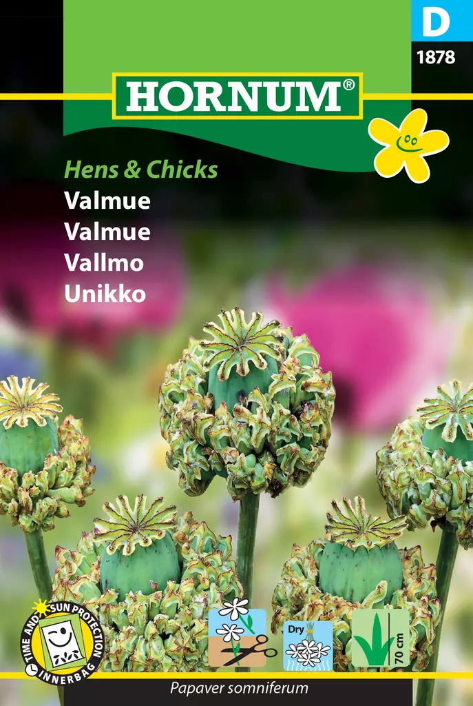 Unikko Hens & Chicks - Kukkien ja koristeheinien siemenet - 5708787018786 - 0