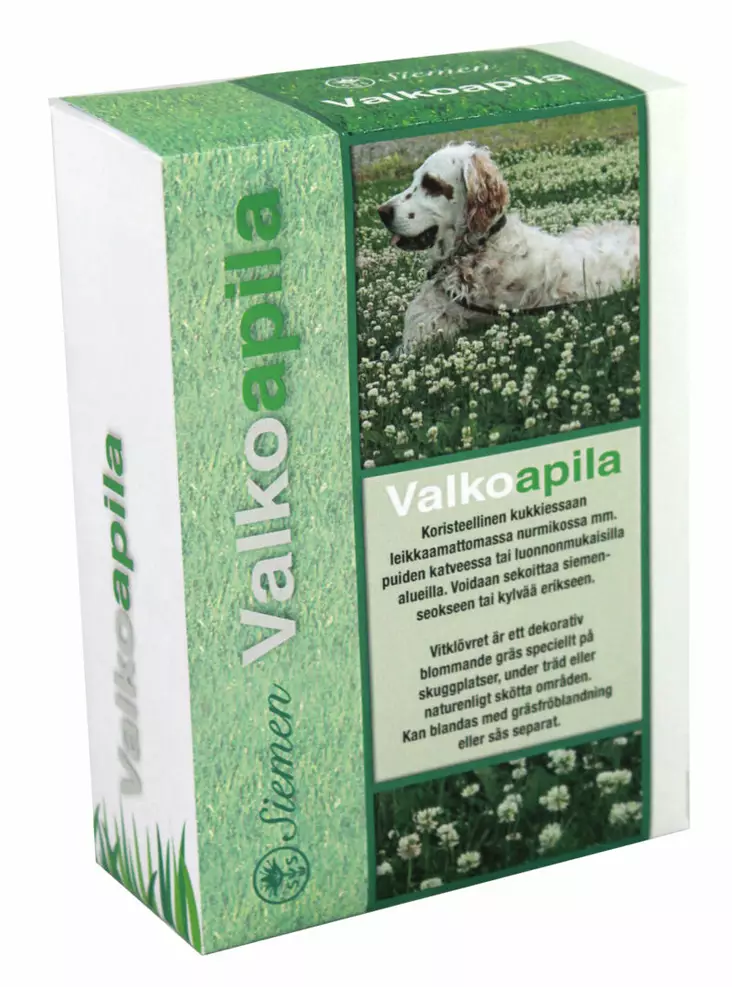 Valkoapila 500 g - Nurmikon siemenet - 6415152706016 - 1