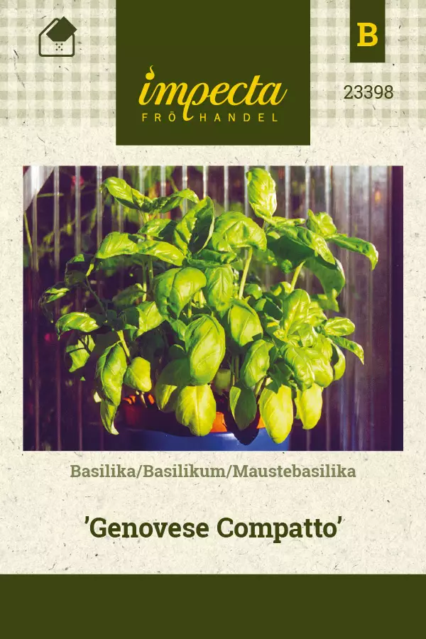 Maustebasilika Genovese Compatto - Vihannesten ja yrttien siemenet - 7332756233986 - 1