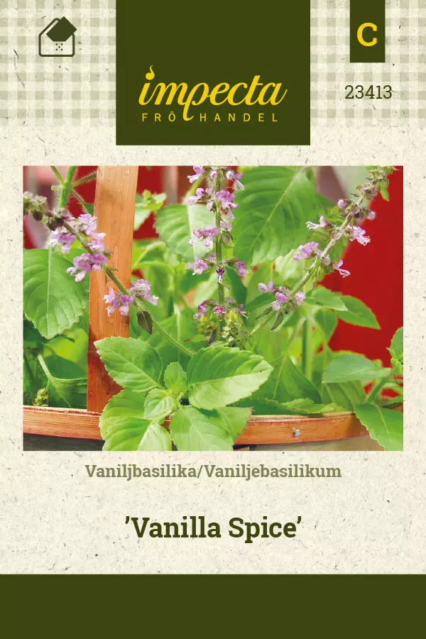 Vaniljabasilika Vanilla Spice - Vihannesten ja yrttien siemenet - 7332756234136 - 1